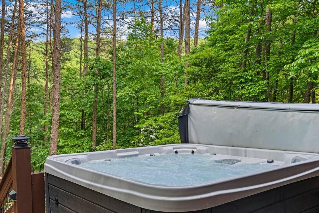 Lakeside Retreat Hot Tub Fishing Hiking Ellijay Exteriör bild
