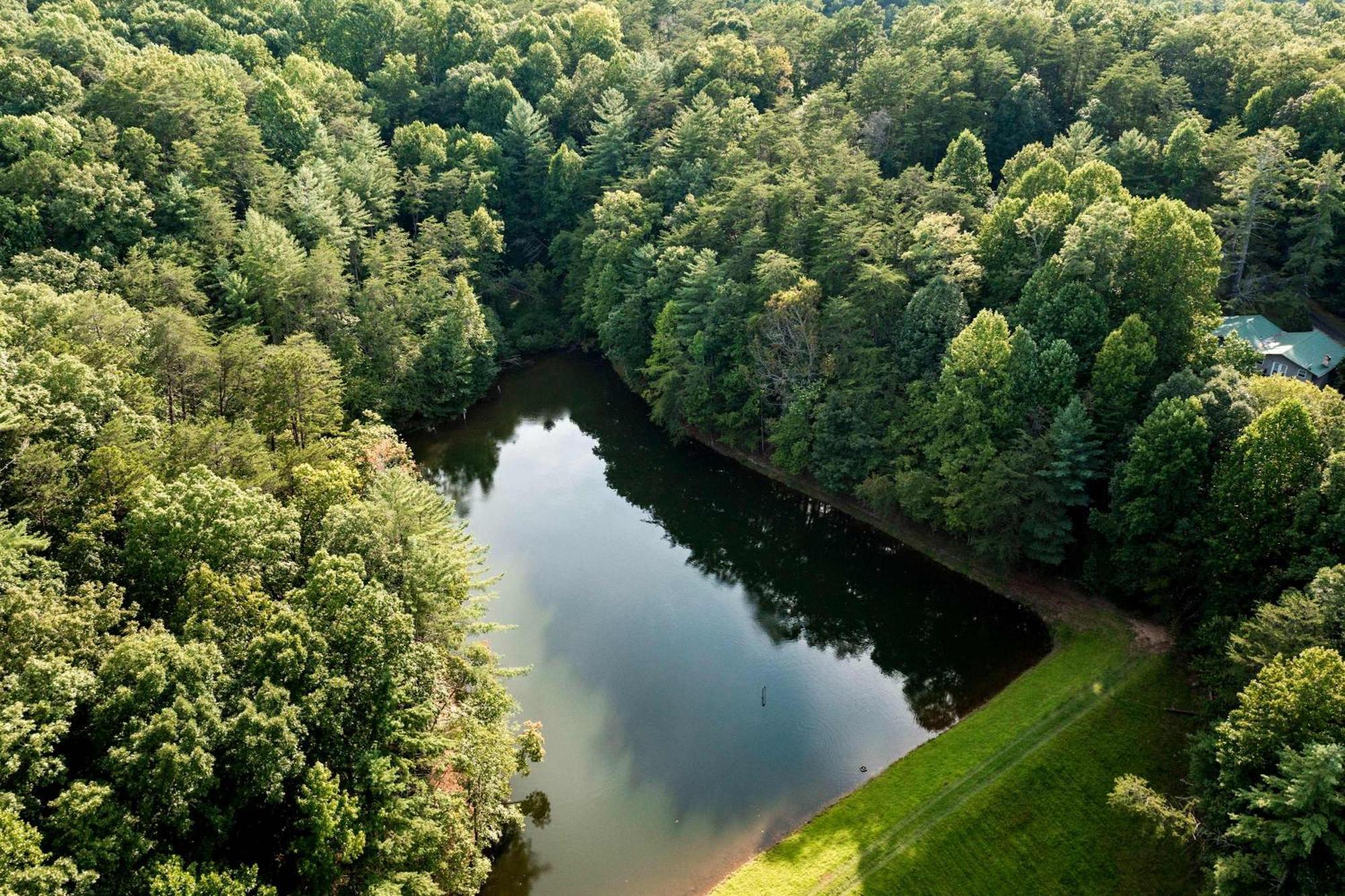 Lakeside Retreat Hot Tub Fishing Hiking Ellijay Exteriör bild